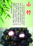 山竹