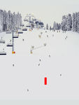 冬季雪景