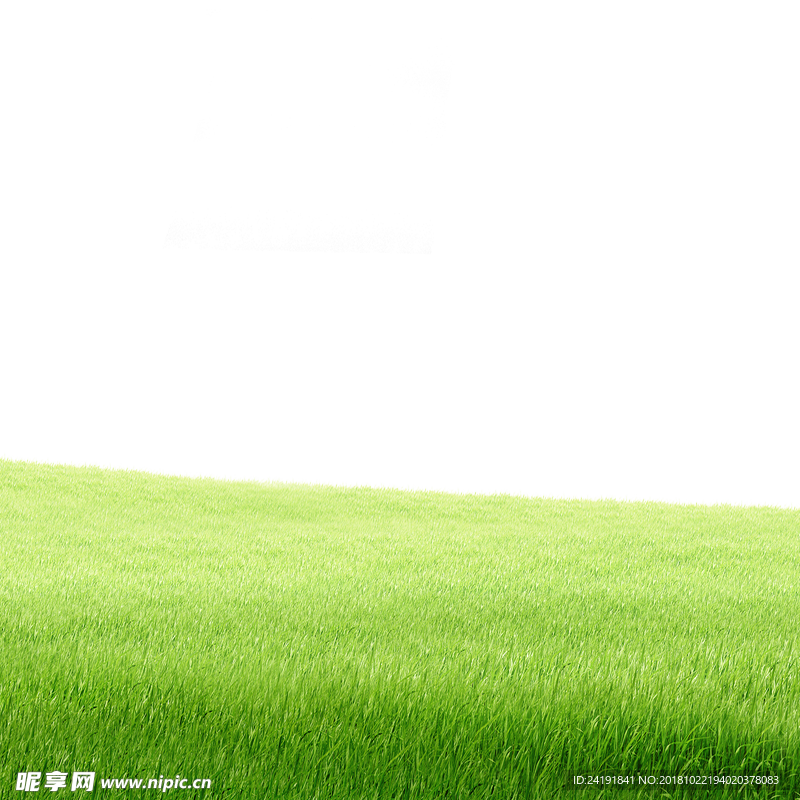 草坪背景PNG