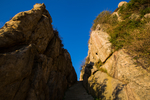泰山