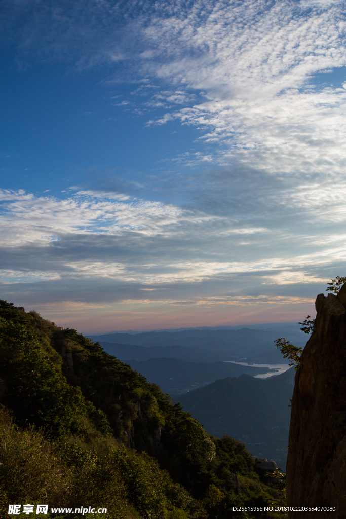 泰山