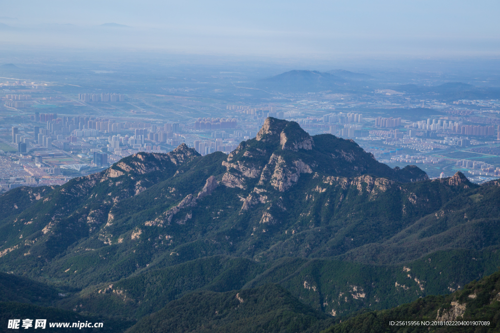 泰山