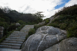 泰山