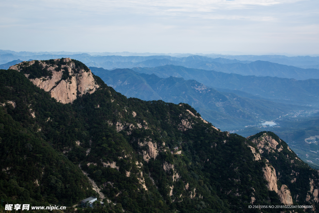 泰山