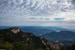 泰山