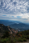 泰山