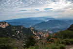 泰山