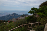 泰山