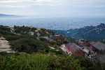 泰山
