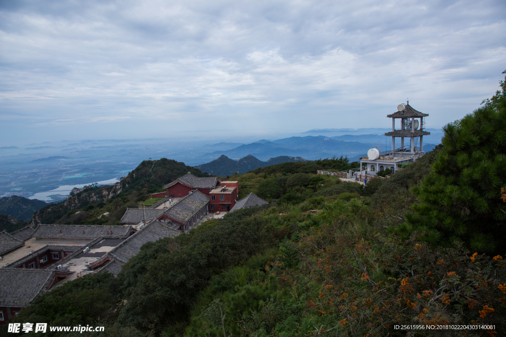 泰山
