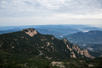 泰山