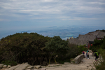 泰山