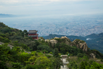 泰山