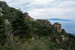 泰山