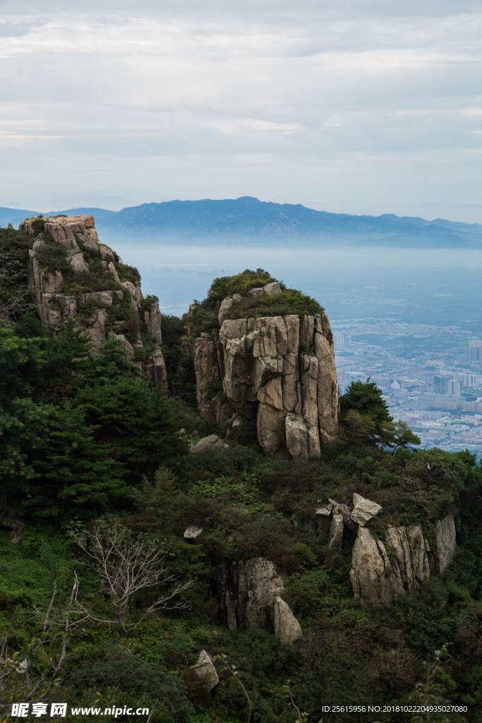 泰山