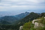 泰山