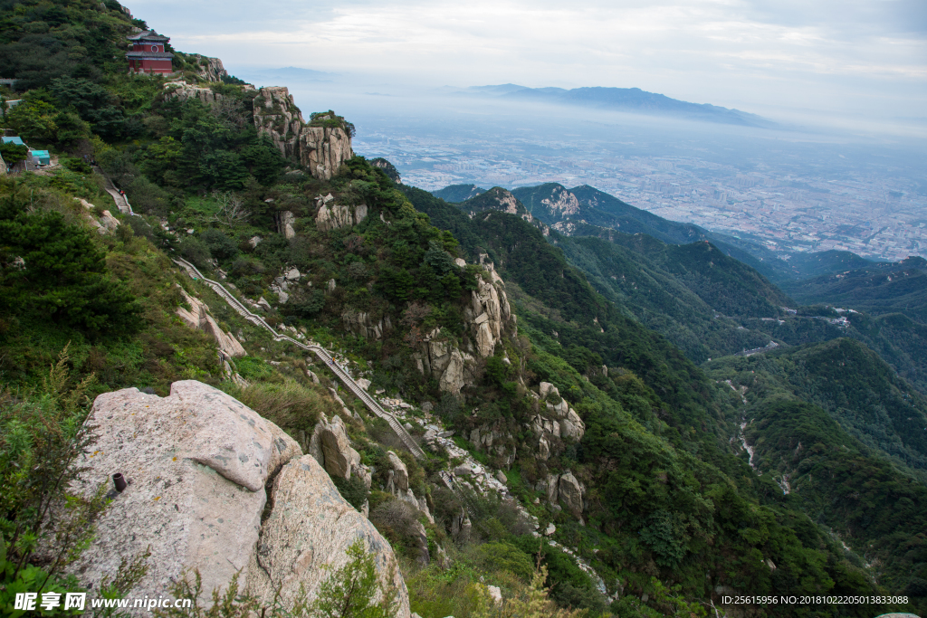 泰山