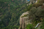 泰山