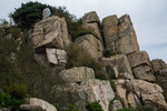 泰山