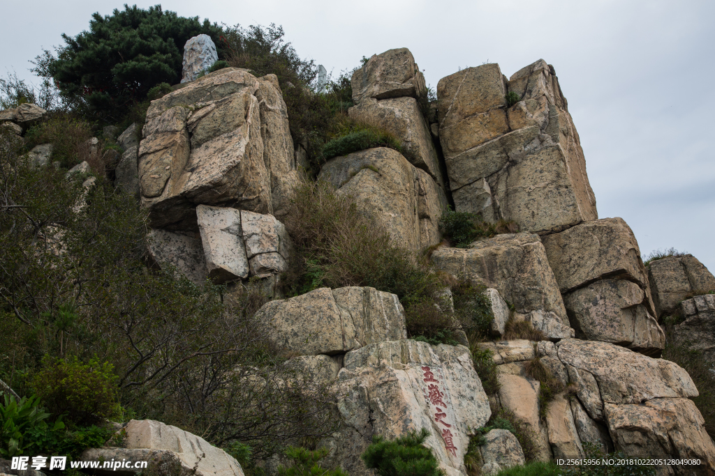 泰山
