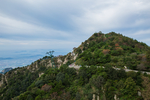 泰山