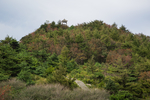 泰山