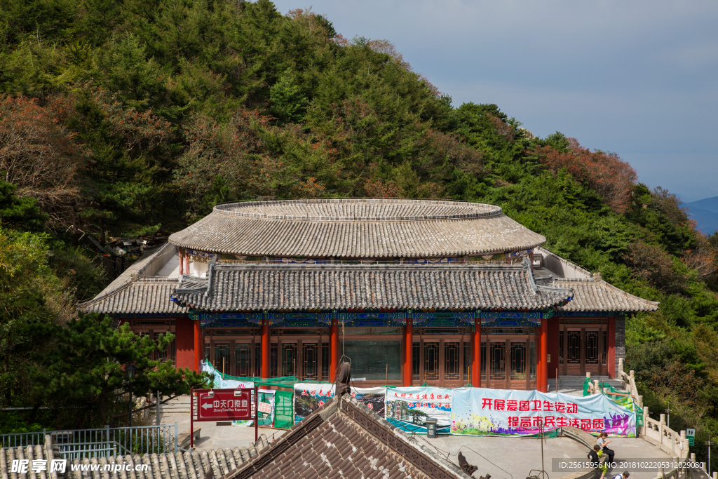 泰山