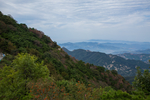泰山