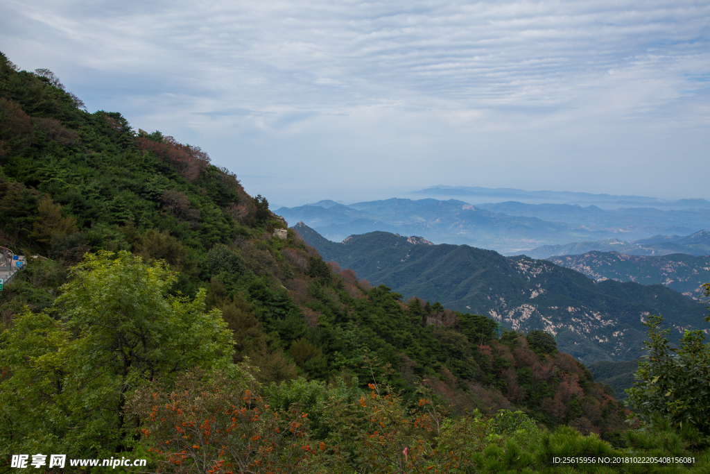 泰山