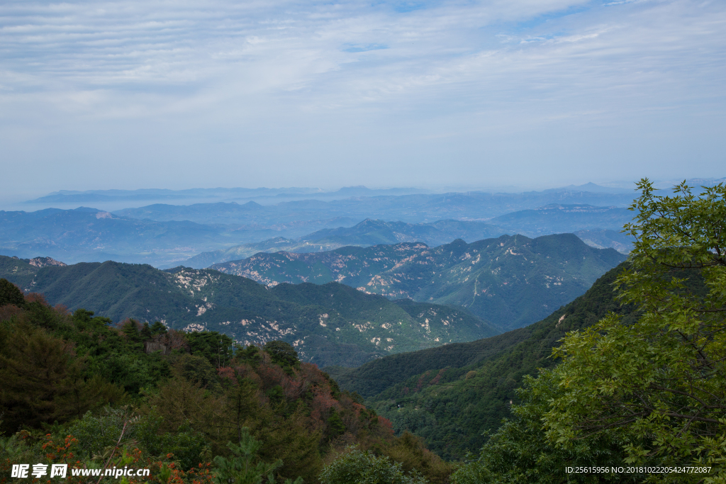 泰山