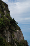 泰山