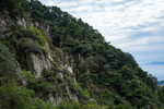 泰山