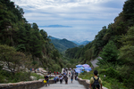 泰山