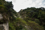 泰山
