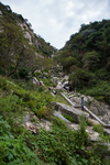 泰山