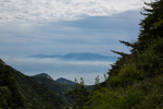 泰山