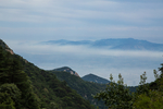 泰山