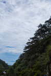 泰山