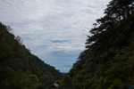 泰山
