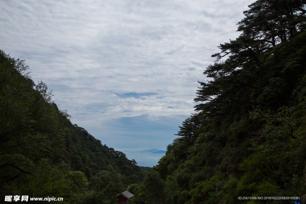 泰山