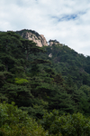 泰山