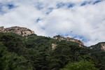 泰山