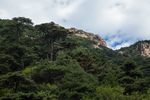 泰山