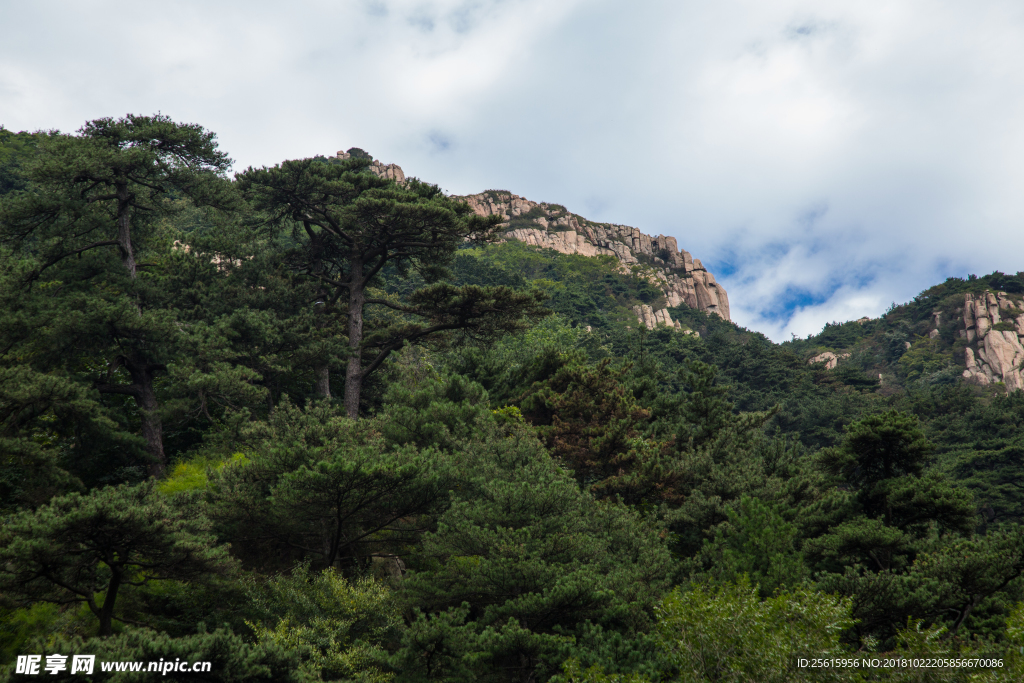 泰山