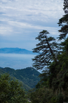 泰山