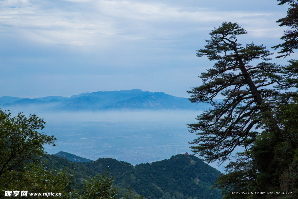 泰山