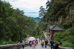 泰山