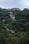泰山