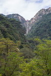 泰山