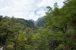 泰山